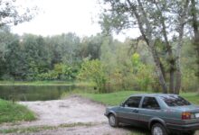 Photo of Замена сальников на Jetta 2