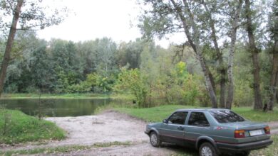 Photo of Замена сальников на Jetta 2